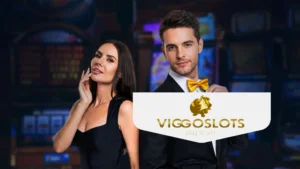 ViggoSlots Käyttöoikeus
